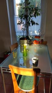 einem Glastisch mit einer Topfpflanze darüber in der Unterkunft Maison des Peupliers in Bondy