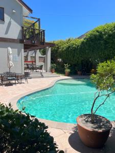 una piscina con una maceta junto a una casa en Pinoak Self Catering Cottages - Constantia, en Ciudad del Cabo