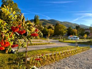 Fotografie z fotogalerie ubytování 7 Lakes camping v destinaci Sapareva Banja + 74 fotografií