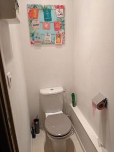 uma casa de banho com um WC com uma fotografia na parede em Appartement 4 voyageurs - Proche plage em Bray-Dunes