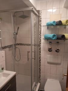 a bathroom with a shower with a toilet and a sink at Haus Sonntal in Bodenmais