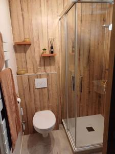 La salle de bains est pourvue de toilettes et d'une douche en verre. dans l'établissement Bienvenue au studio l'Escale bleue !, à Saint-Cast-le-Guildo