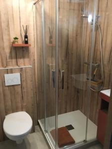 La salle de bains est pourvue de toilettes et d'une douche en verre. dans l'établissement Bienvenue au studio l'Escale bleue !, à Saint-Cast-le-Guildo