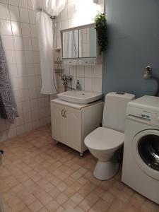 uma casa de banho com um WC, um lavatório e uma máquina de lavar roupa em Meri-Porin lomakoti 