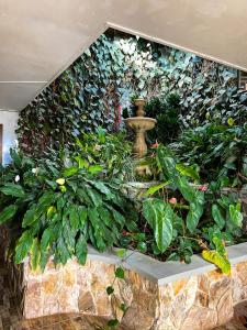 Κήπος έξω από το Hotel Spa La Colina