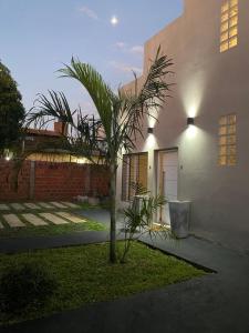 palma w ogrodzie obok budynku w obiekcie Wawa Estudio 3 w mieście Posadas