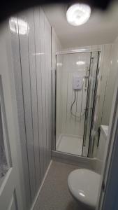 baño con ducha y aseo blanco en Cosy and Relaxing en Chatham