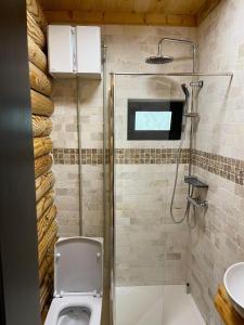 uma casa de banho com um WC e um chuveiro em AirGreen Cabană 