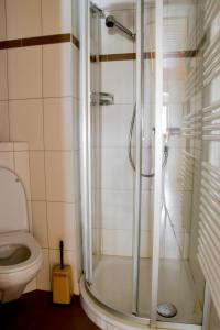 ein Bad mit einer Dusche und einem WC in der Unterkunft Heidi in Saas-Fee