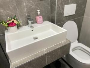 La salle de bains est pourvue d'un lavabo blanc et de toilettes. dans l'établissement Apartman Jovanov Dvor, à Bijeljina