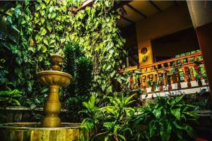 Κήπος έξω από το Hotel Spa La Colina
