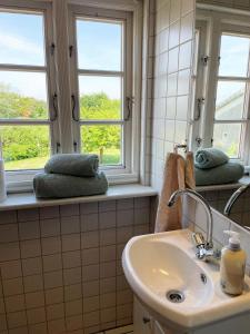 a bathroom with a sink and two windows at Diekhüser Rodenäs in Rodenäs