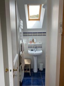une petite salle de bains avec un lavabo et une lucarne. dans l'établissement L'Alambic à Martial, à Ménétru-le-Vignoble
