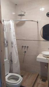 a bathroom with a toilet and a shower at Alquiler temporario zona sur MDQ in Mar del Plata