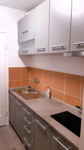 a kitchen with a sink and a counter top at Mikesh in Virovitica