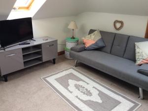 a living room with a gray couch and a flat screen tv at The Burrows (ladybird lodgings) in Stoke Gabriel