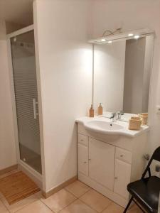 a bathroom with a sink and a mirror and a shower at Proche aéroport à pied, O Nature in Tillé