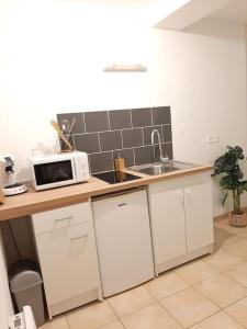 a kitchen with a sink and a microwave on a counter at Proche aéroport à pied, O Nature in Tillé