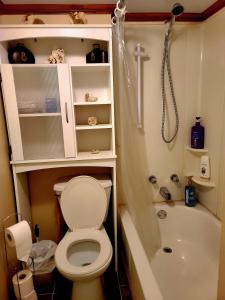 a small bathroom with a toilet and a shower at Gîte du passant SADM, parc de la Gaspésie. in Sainte-Anne-des-Monts