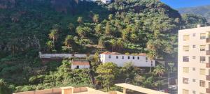 un bâtiment sur le côté d'une montagne planté de palmiers dans l'établissement Piso con garaje El Puente en Santa Cruz de La Palma, à Santa Cruz de la Palma