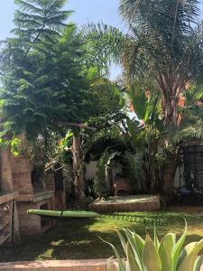 Ogród w obiekcie Dúplex con vistas panorámicas
