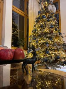 ポロニンにあるNiedźwiedzia Residenceのカボチャのテーブル付きの部屋の前のクリスマスツリー