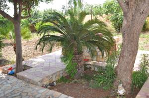 A garden outside Profumo di Zagara