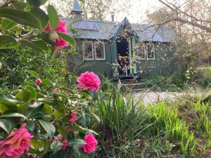 a green house with pink flowers in front of it at Enchanting Hand Painted Tabernacle with Hot Tub in Bude