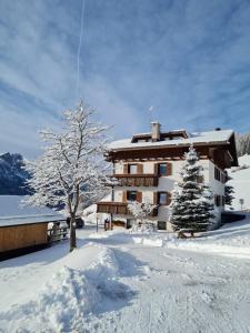 ein schneebedecktes Gebäude mit einem Baum davor in der Unterkunft Piccola Suite sul Civetta in Colle Santa Lucia
