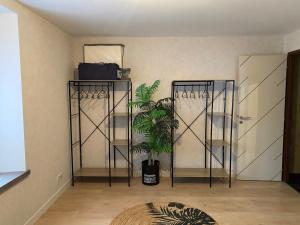 una habitación con dos estanterías de hierro y una planta en Appartement de kiki, en Éloyes