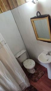 a bathroom with a toilet and a sink at Cabaña Rustica, Lago/bosque/Puerto/Estufa Pellet in Puerto Fuy