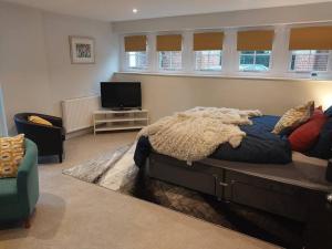 1 dormitorio con 1 cama grande y TV en Turing Lodge, near Hampton Court, en Hampton Hill