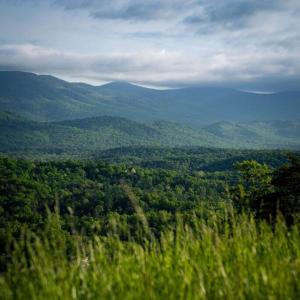 Foto dalla galleria di Bryce Chalet Retreat A Mountain Getaway a Basye
