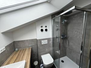 ライト・イム・ヴィンクルにあるHaus Elginのバスルーム(シャワー、トイレ付)