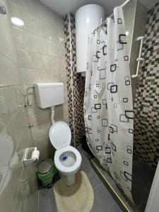 Fotografija u galeriji objekta Central Apartments u Zaječaru