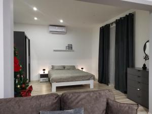 Fotografija u galeriji objekta Central Apartments u Zaječaru