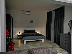 Fotografija u galeriji objekta Central Apartments u Zaječaru