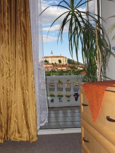 pokój z oknem z doniczką w obiekcie Hotel Zámeček w mieście Mikulov