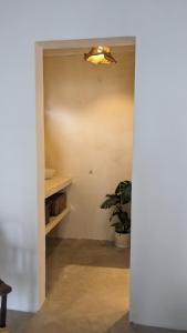 a hallway with a potted plant and a light at Casa Raices in Quequén