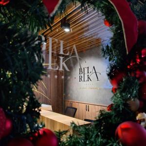 Fotografia z galérie ubytovania Regulus apartment Brzeće Kopaonik v destinácii Brzeće