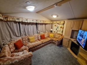 ein Wohnzimmer mit einem Sofa und einem TV in der Unterkunft Willerby Holiday Home in Durham