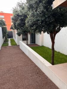 a white building with a tree next to a sidewalk at JM Alojamento local no Porto in Porto