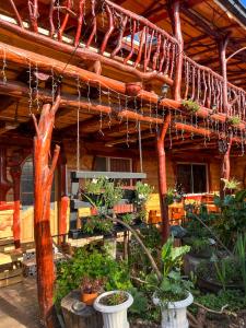 Hostal Central Panguipulli في بانغويبولي: مبنى به مجموعة من النباتات الفخارية
