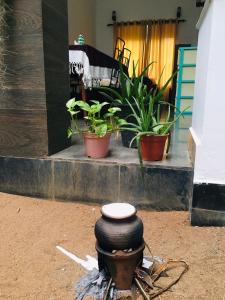 a stack of tires sitting on the ground with plants at HOSTEL KATUNAYAKE At COLOMBO AIRPORT TRANSIT in Katunayake
