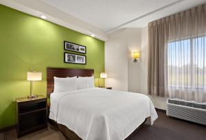 ein Hotelzimmer mit einem Bett und einer grünen Wand in der Unterkunft SPOT X Hotel Tampa Bay by Red Collection in Wesley Chapel