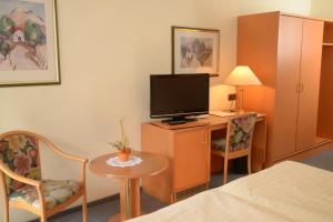 um quarto de hotel com uma cama, uma televisão e uma mesa em Landgasthof Friedrich em Trebgast