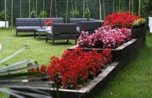 Zahrada ubytování Hotel Olajauregi