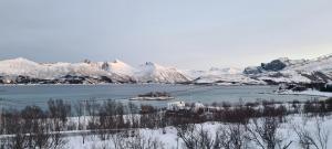 an island in a body of water with snow covered mountains at Senjavista, near nature, sea and mighty mountains in Skaland