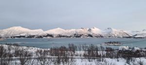 une grande étendue d'eau avec des montagnes enneigées dans l'établissement Senjavista, near nature, sea and mighty mountains, à Skaland