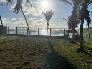 een groep palmbomen op het strand bij Chalet Sol Nascente in Lauro de Freitas